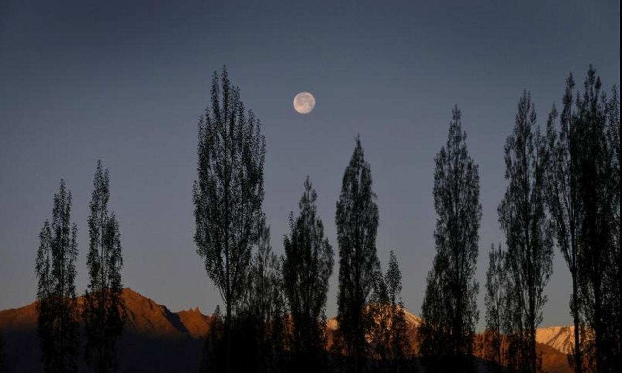 Royal Heritage Resort Leh Eksteriør billede